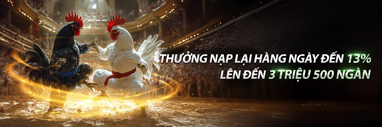 Sân vận động với ánh đèn rực rỡ, biểu tượng cá cược thể thao Kufun Nhà Cái